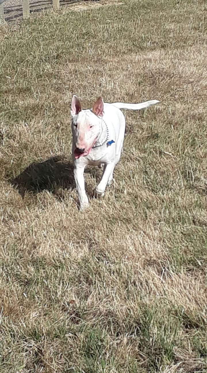 1030 8fdebde2207dfcb7239c6cedbe1939f2 1