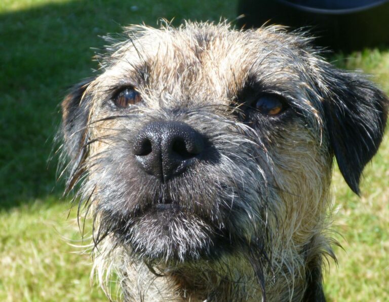 1033 b1ef1eb6f4ee90dfeb2aa0fc5d3a9abf 1 768x596