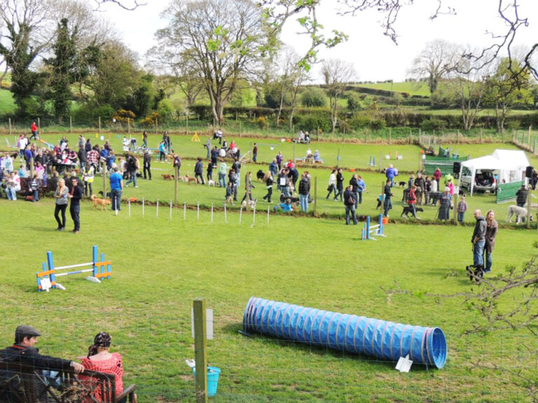 1034 025574bc48ecdd08bc42cd6ceab985e2 1 768x576