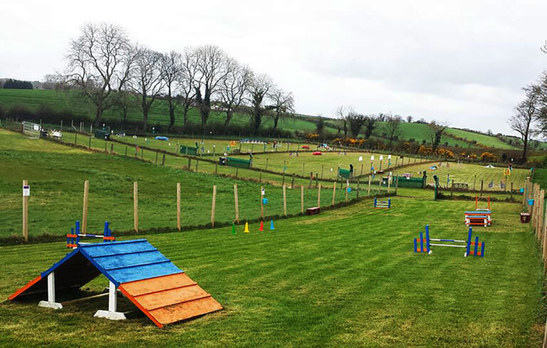 1034 12905eec231aa5b73874d6facc90c6a1 1 768x489