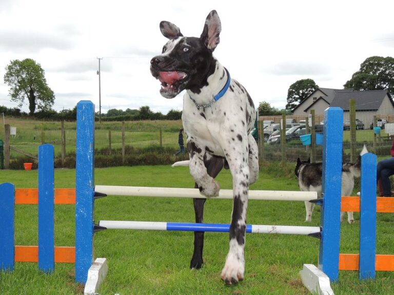 1034 273e17fb94180789f93bf4ac9dd451b2 1 768x576