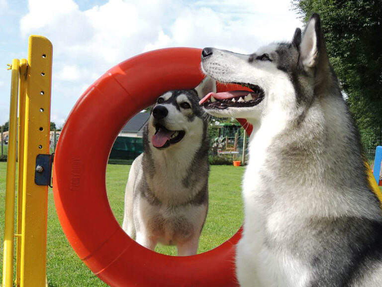 1034 3df439a739e5a82ae34487a2d5f0e1c3 1 768x576