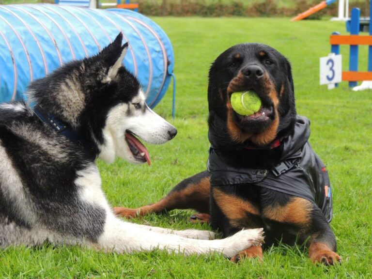 1034 54883e141d66a197d4e6c2e426936e3b 1 768x576