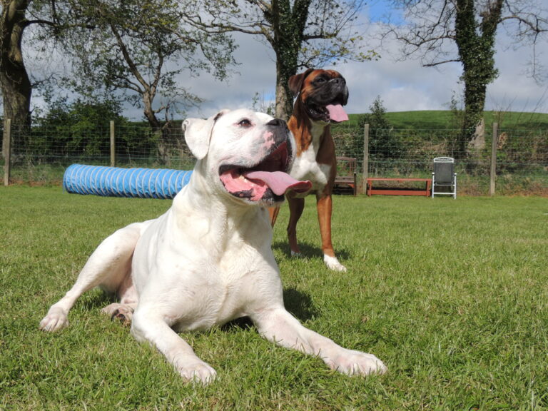 1034 766d6e4eb4b54b52ee70d2ee6cc158fd 1 768x576