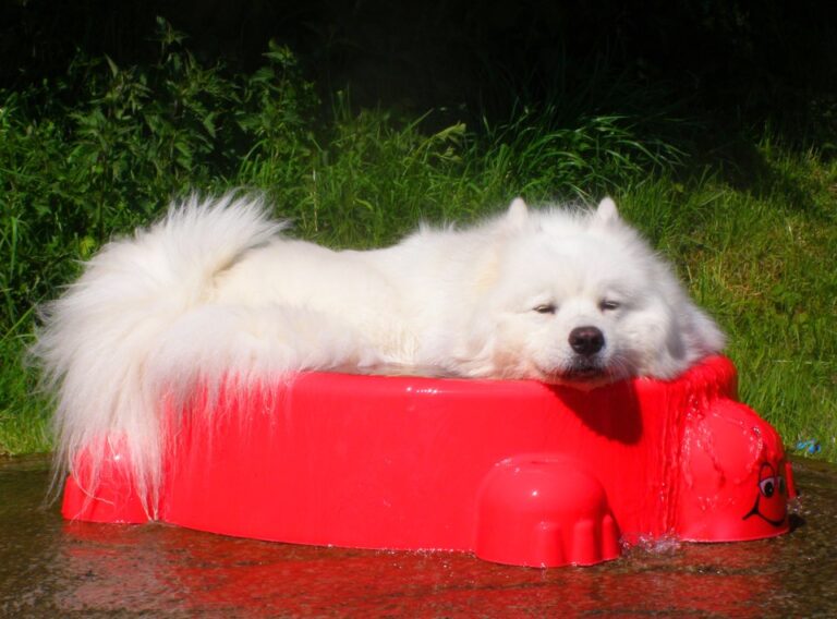 1034 9a60419e69407a1bccbcd7204a17291d 1 768x568