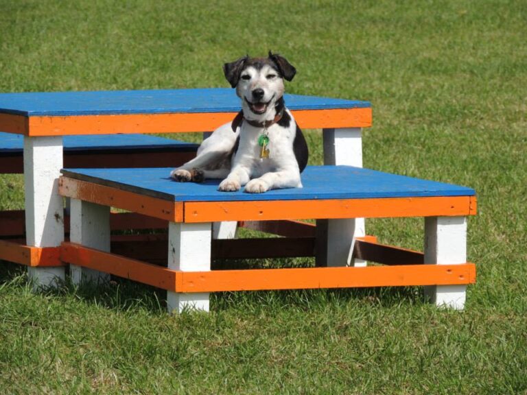 1034 9f6df634235dd95d5cac1d25f9455c89 1 768x576