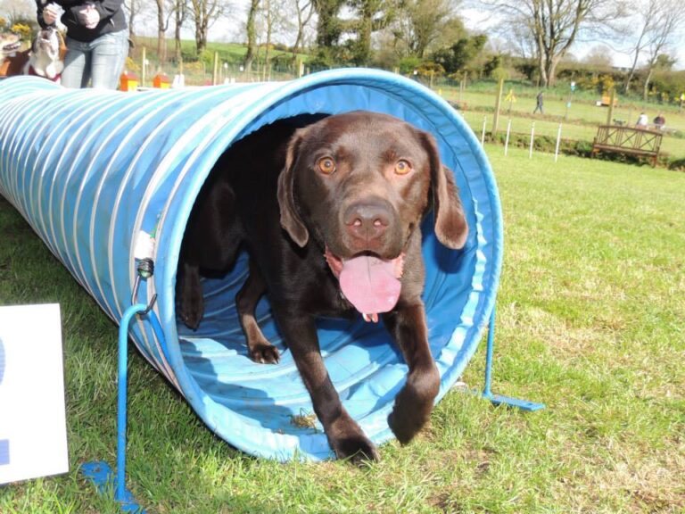 1034 fd0ac4b1620fb5311b35146a64dfbe0c 1 768x576