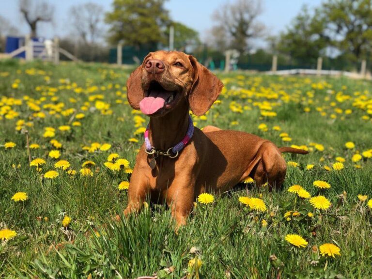 1035 bdf1c3dc62cc946a3c9a16bb404efb19 1 768x576