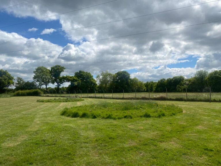 1035 c94c857f947f05bbff76b9d9d74a32fa 1 768x576