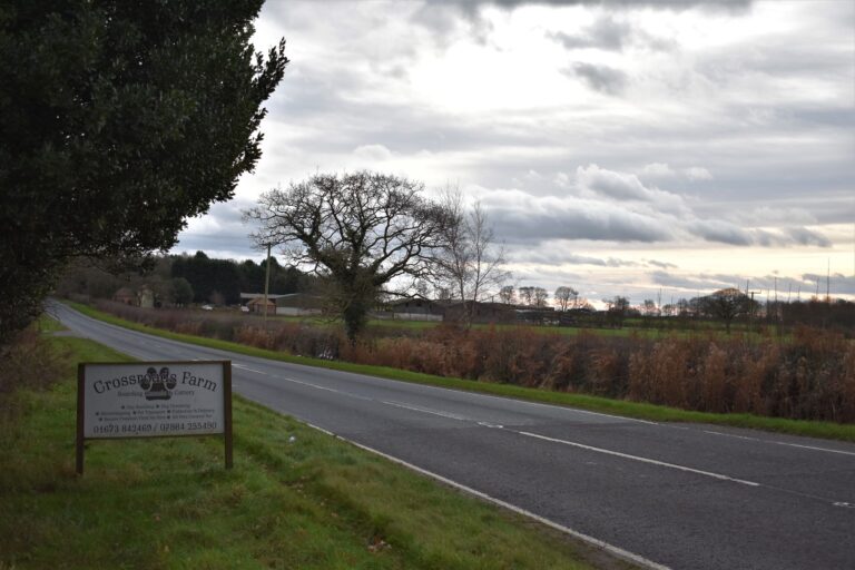 1053 02e121752421f78d1b6949b2f7e20157 1 768x512