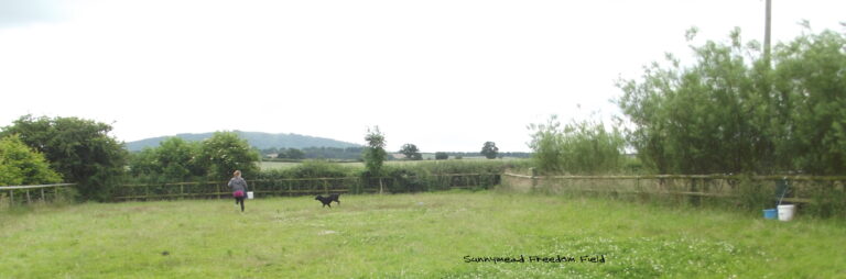 1080 2004c95a0525cfdb9a5166be4ace7737 1 768x254