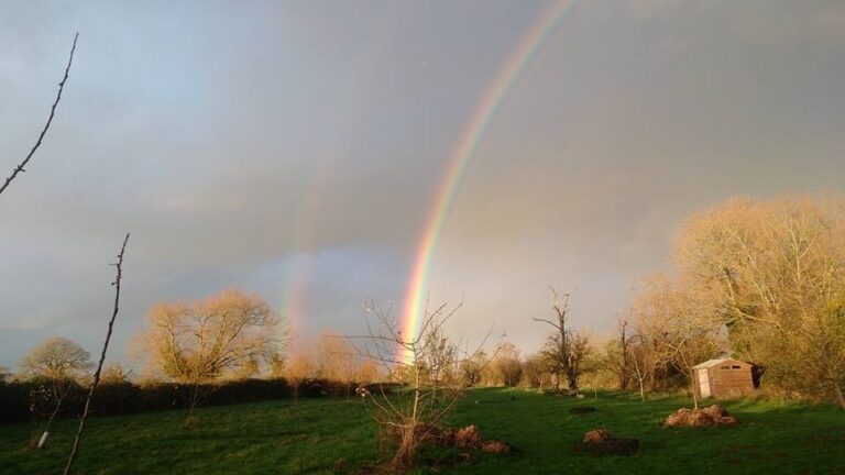 1091 77b7e8421ca7ba185f3ebbcaf6a92ec9 1 768x432