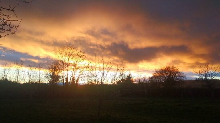 1091 e74c68c938290c3e140f38560d6f8b6c 1 768x432