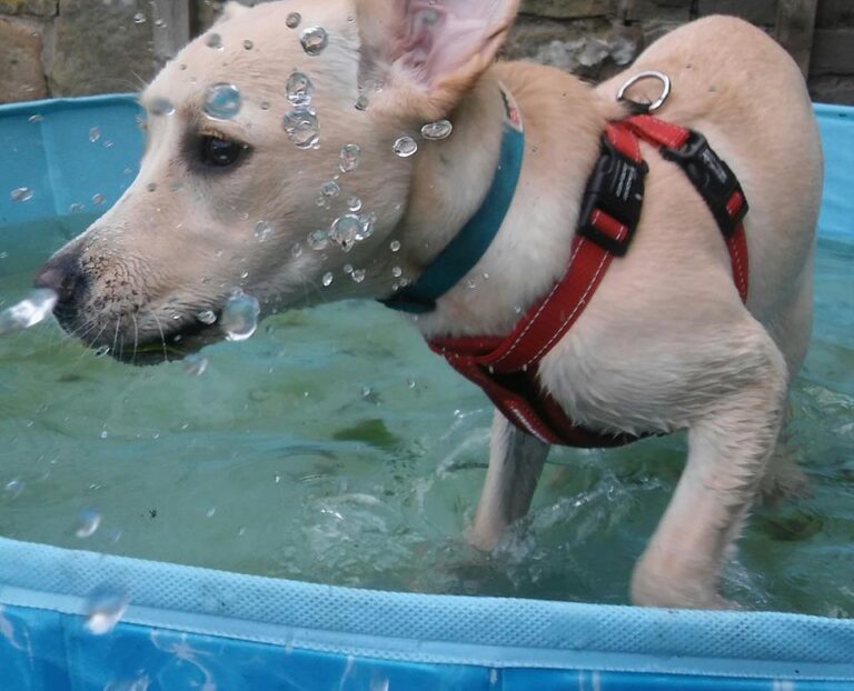 1098 52ed6edafe321735d5d12ddc2b463acb 1 768x622