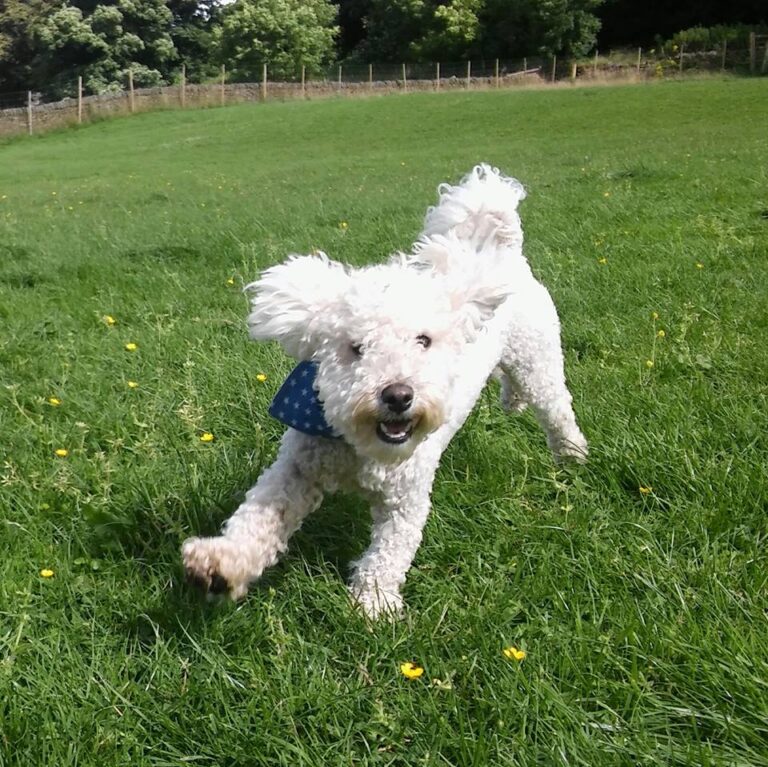 1098 559795cef423bce8213994a5659aa4bf 1 768x767