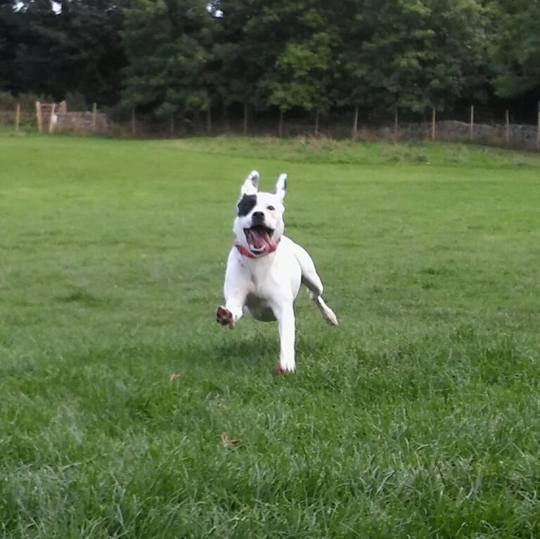 1098 ea67ab6983365287d4876fedb2802bdb 1 768x767