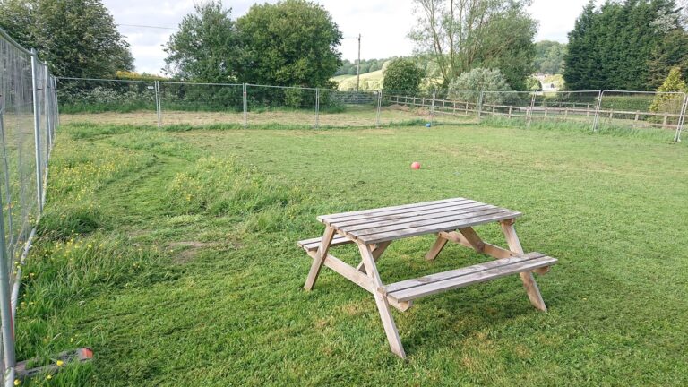 1122 ab4859fe373d58a3b6d0ab579c44881d 1 768x432