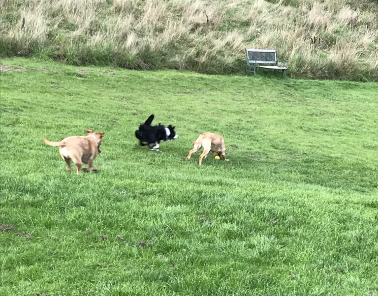 1131 4d17da1d97c99b648601241cd442e3dc 1 768x602