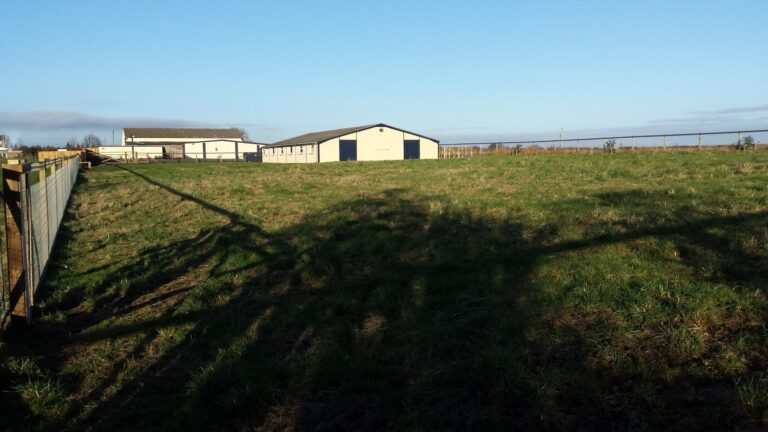 1134 20ecfe89269752d4d1e35cc099e0d4f9 1 768x432