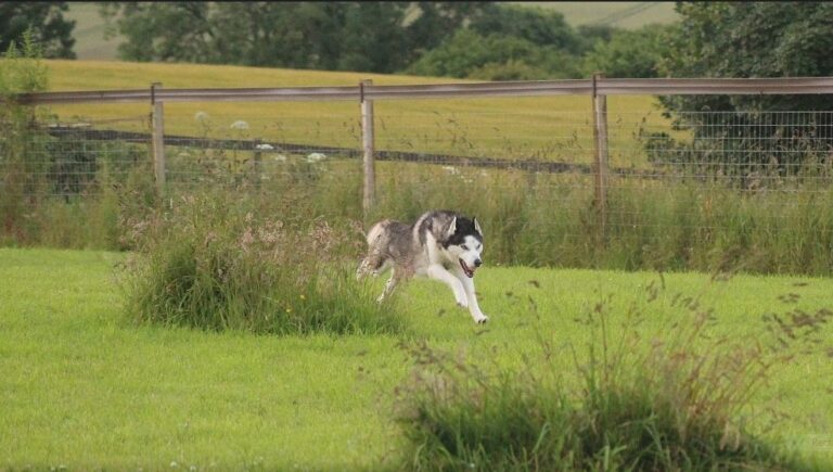 1134 ee6200b346b50c2f25d43f910eca1b69 1 768x435