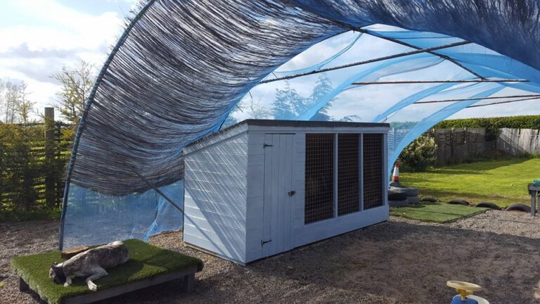 1150 56a1117dd37d0f265e81517427c2dada 1 768x432