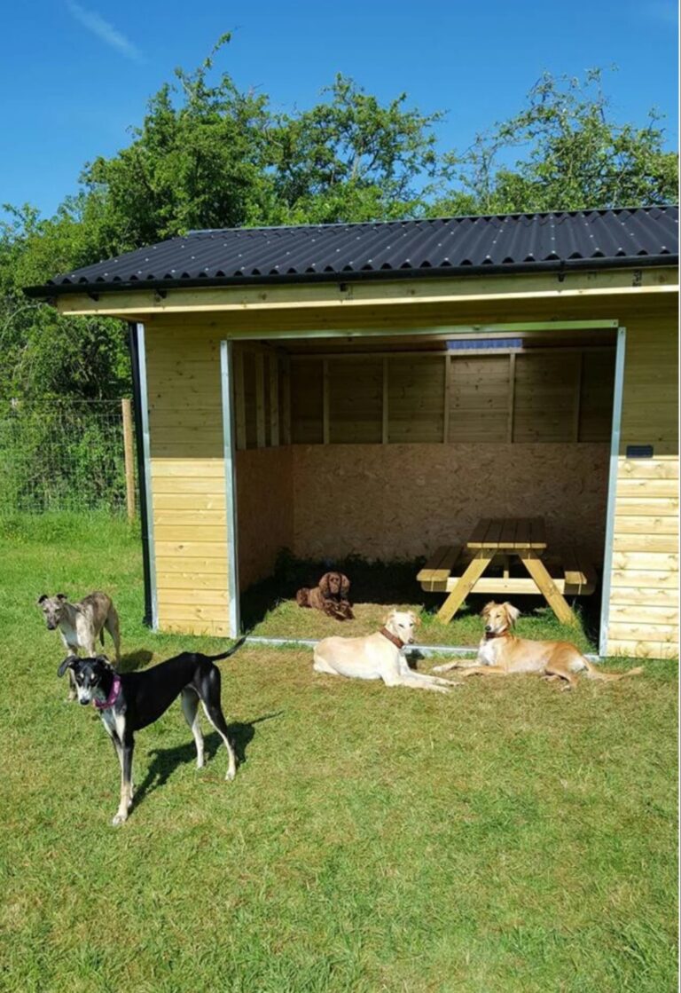 1165 b94259656fa49305871369ad72686f60 1 768x1119