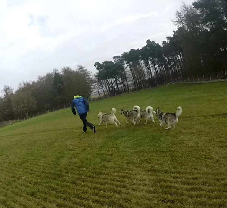 1172 1b2a2fdfd24adf7ef1c7def1e231a9c1 1 768x703