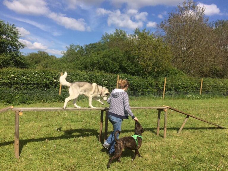 1189 20567efe7cfc6641fb0c53acf8af74c5 1 768x576