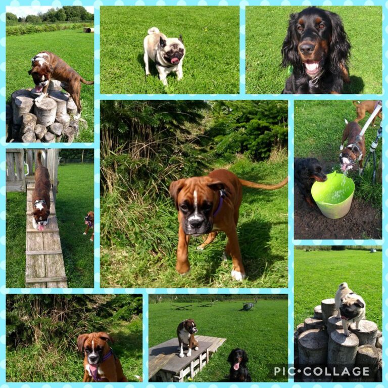 1189 5273bf83a0a3007fa744bb540260111e 1 768x768