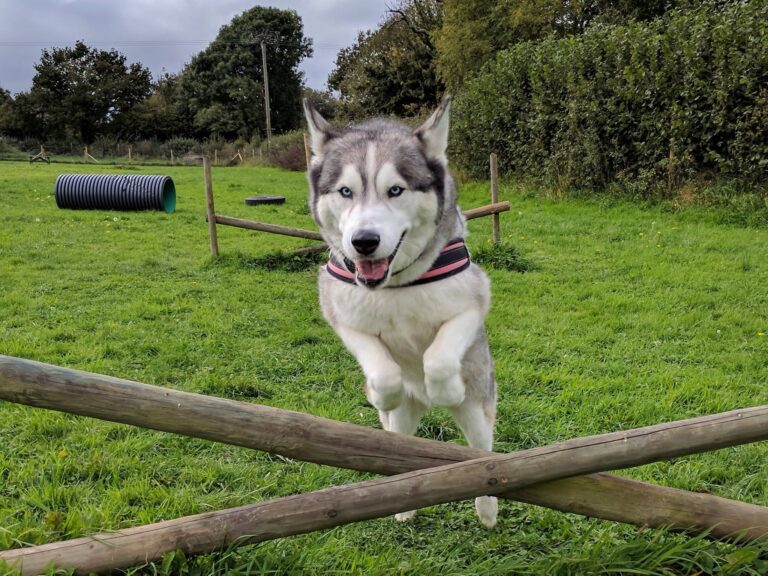 1189 ce427e8ac94848e079f1aa6d166cab01 1 768x576