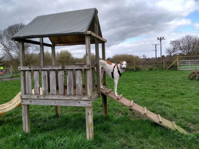 1189 e8177b274569d4aa365e1695b0084c38 1 768x576