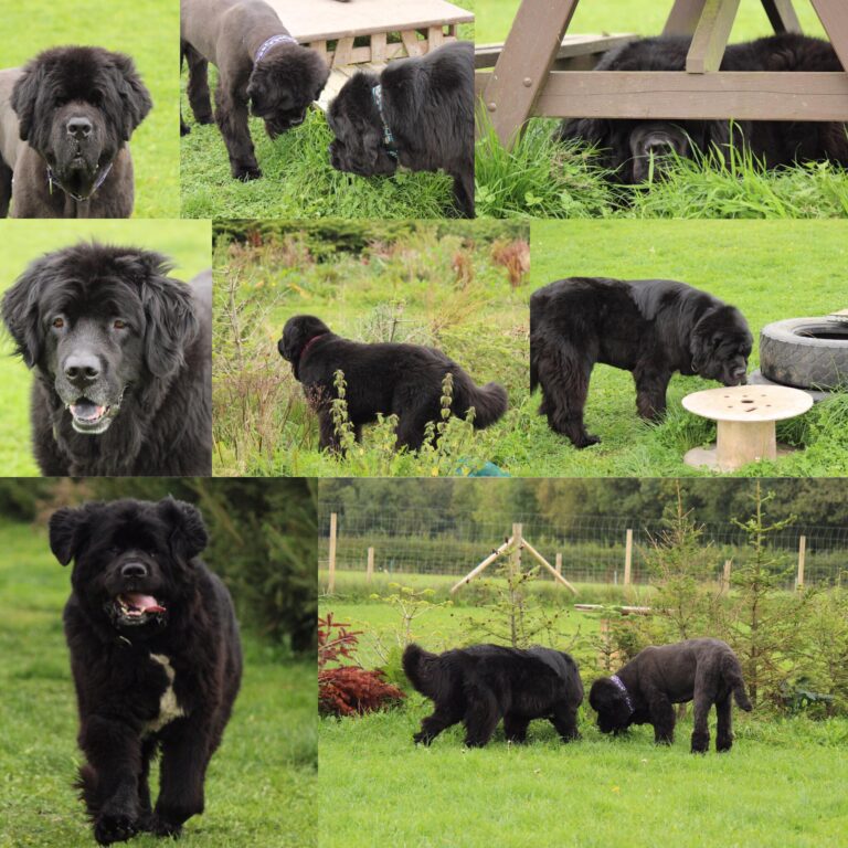 1189 ed4dc8feb262b3860bae61feca8ed6c5 1 768x768