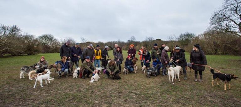 1211 863006359840ec9d49c7d45f3b9a2f61 1 768x342