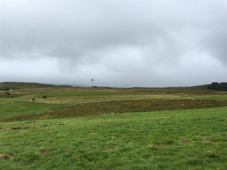 1216 9399f4e6ca126b622ad368e1b8afb07c 1 768x576