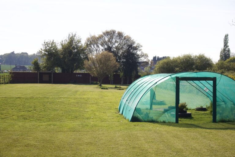 1218 dd0c1185e39ad130dc956f27bd0e9c46 1 768x512