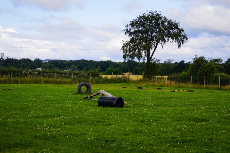 1220 ba4f6d06cbbeb655ae1238e77c544b2e 1 768x511