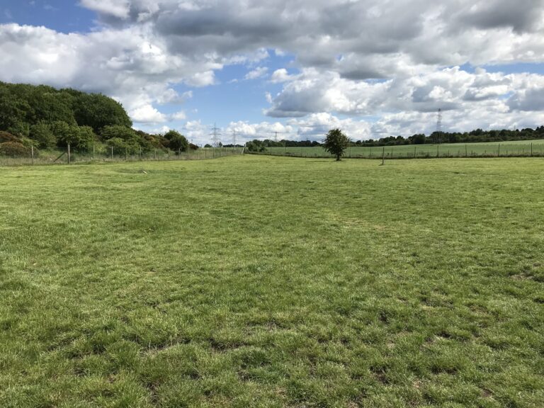 1231 8878a96a7c5f7fe71a82f4acfd83068e 1 768x576