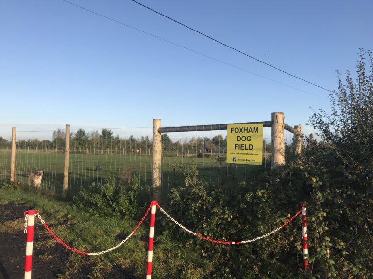 1234 7269396d07e5d3331ab8f1bdbb5bce05 1 768x576