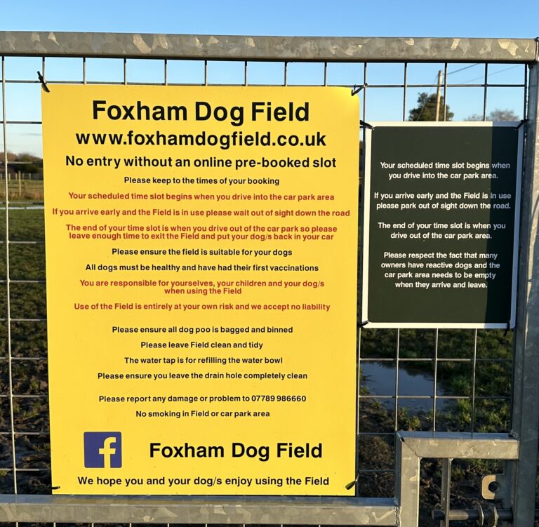 1234 c594e25150036195e83e675447e0d0fb 1 768x751