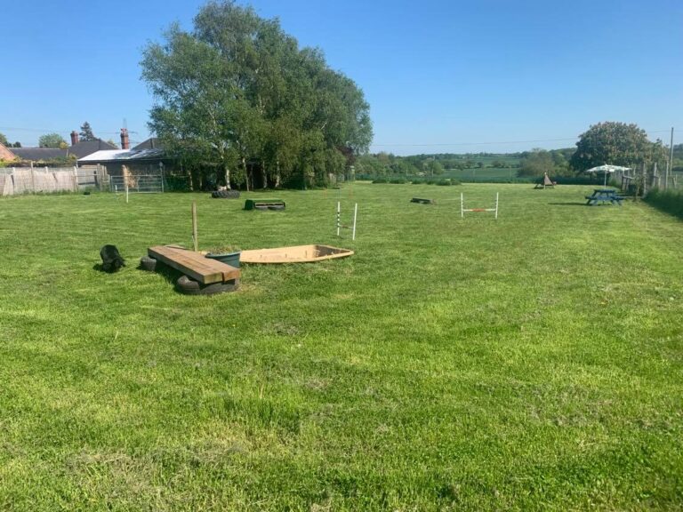 1240 27229b51fab1bc936907a5ac788340b4 1 768x576