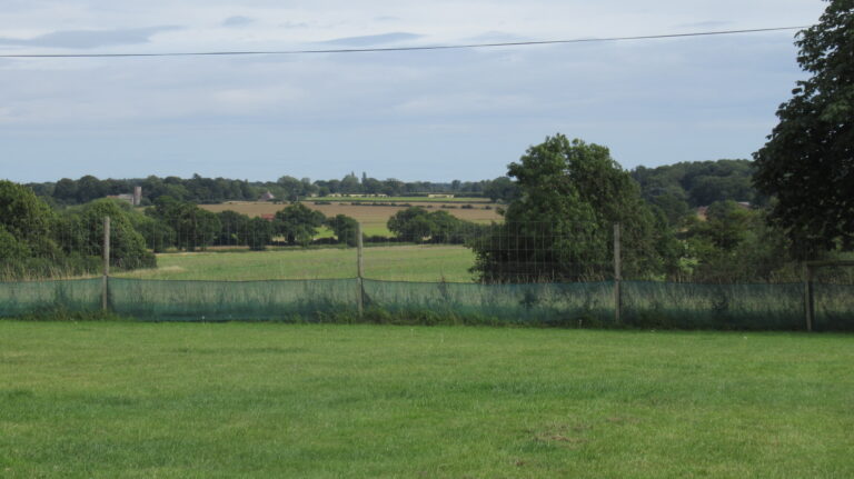 1240 559d44f2ab100463382bc5142ee392a5 1 768x431