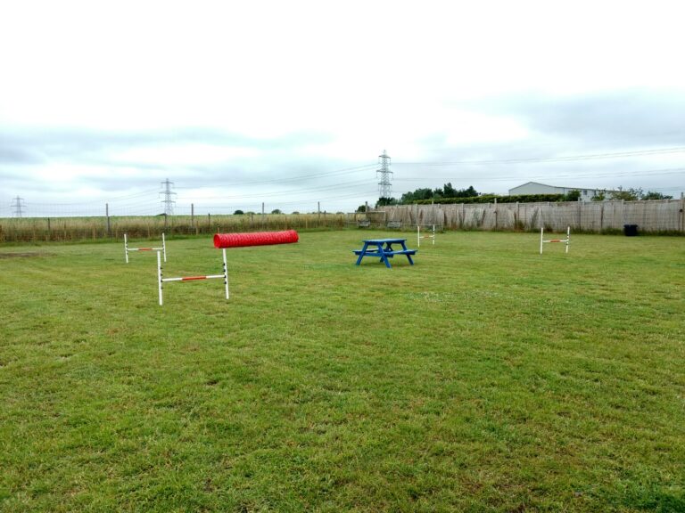 1240 e7f35defedff72be09bbde5bbe860415 1 768x576