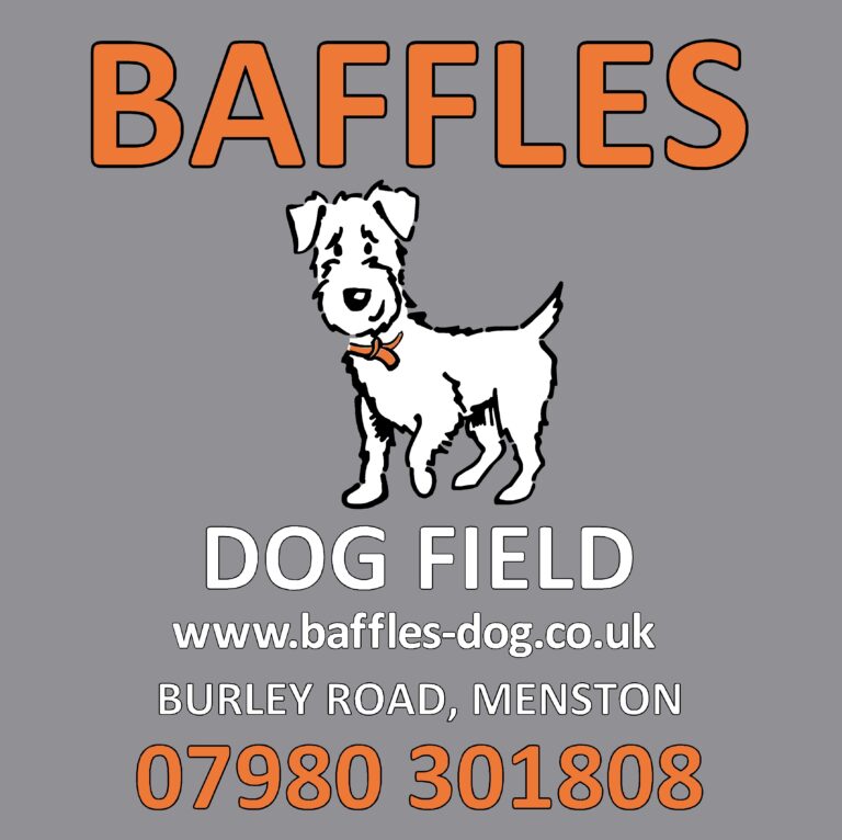 1241 a95b7936e148c2fc96e54249f17bf500 1 768x766