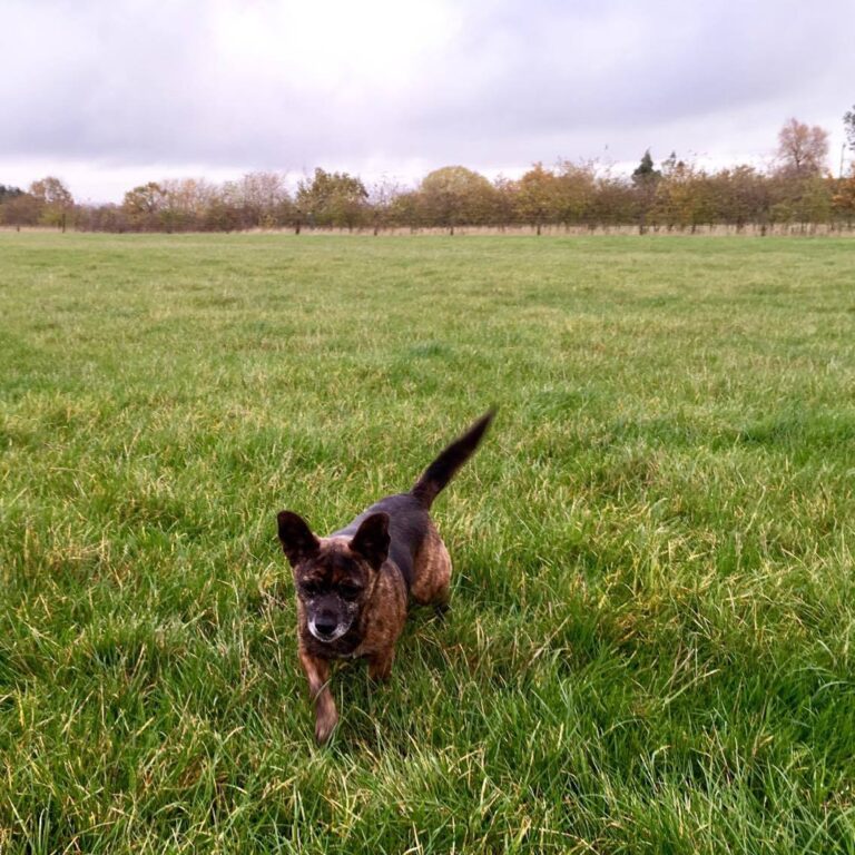 1251 e60087127187ead765fa67c6661035f6 1 768x768