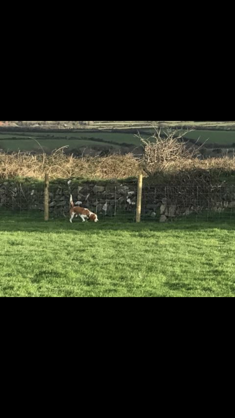 1253 02a20fbf2d8b97176ab5b377cc7ead48 1