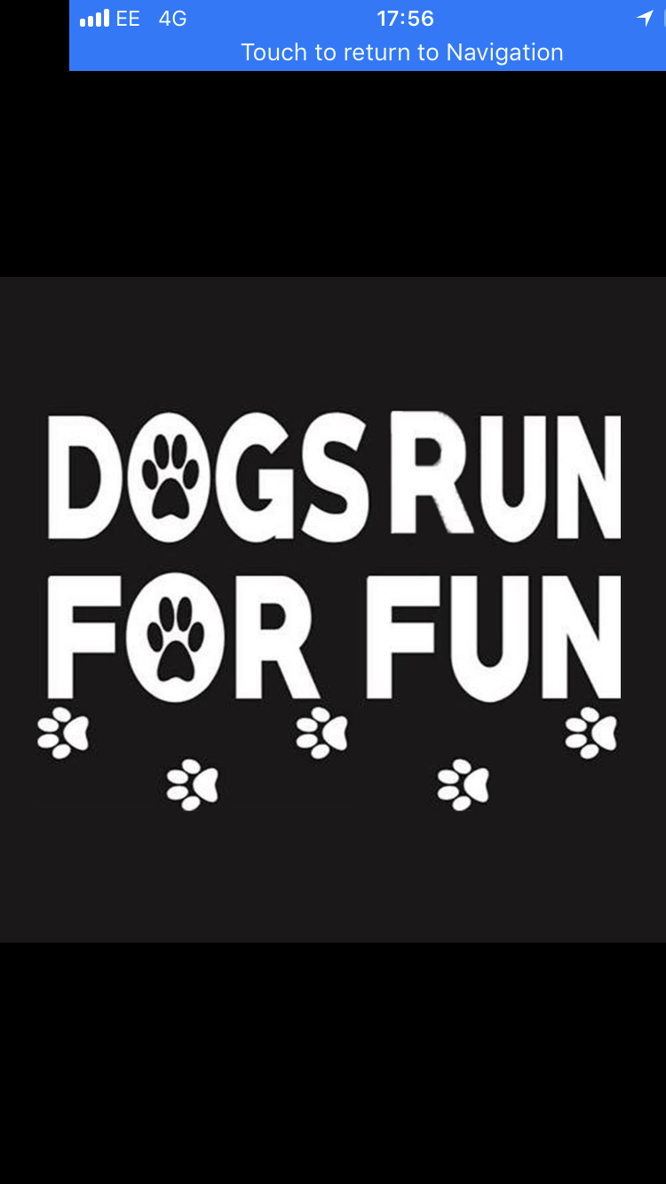 1253 5a6cfa3c930c2ab08e5866ecd980a1c2 1