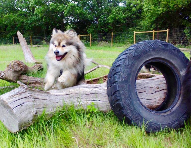 1264 03318d83e1f3e8247caa56a99a4bf767 1 768x594