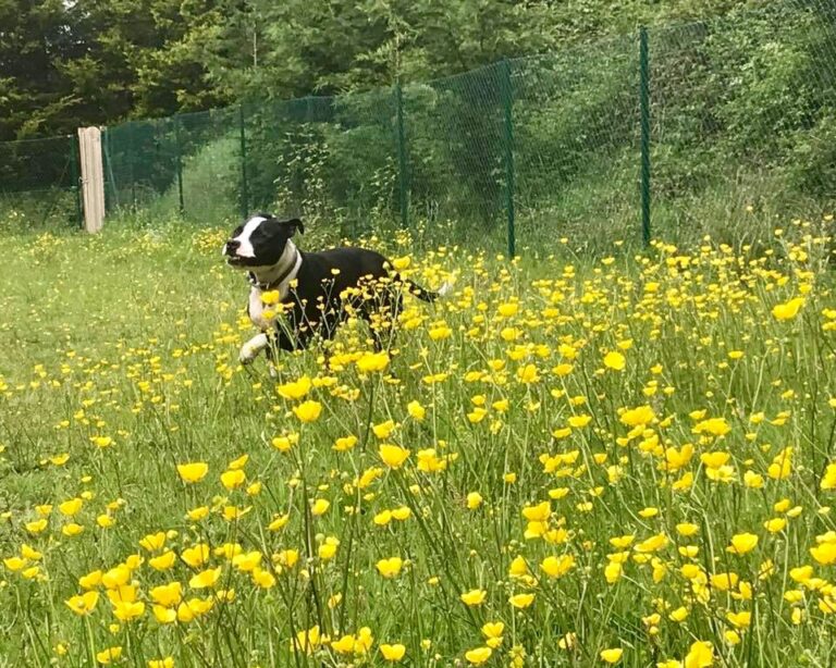 1264 7eda8f5633d6ba4d0a969970092dfdbc 1 768x614