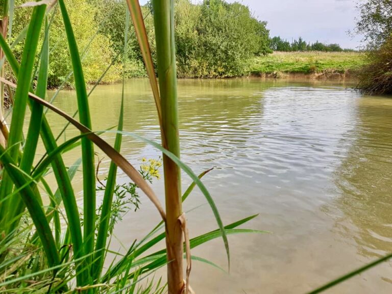 1264 8cbcdfd43d92620106def166799aeb80 1 768x576