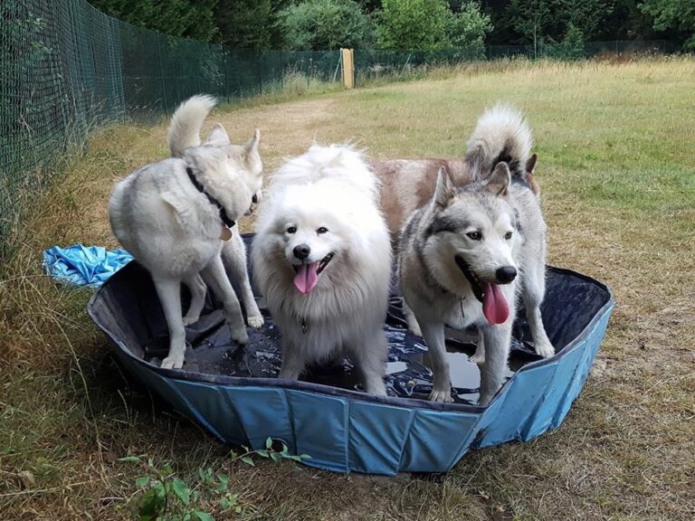 1264 9e3a7819601b674ae30bbfe68190adbc 1 768x576